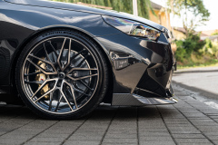 dAHLer_M5_G99_017
