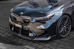 dAHLer_M5_G99_04