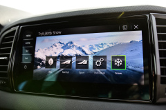 Skoda-Karoq-2.0-TSI-Sportline-19