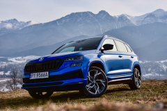Skoda-Karoq-2.0-TSI-Sportline-33