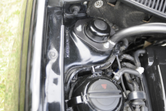 Zlot-Stance-Xperience-Konskie-2025-62