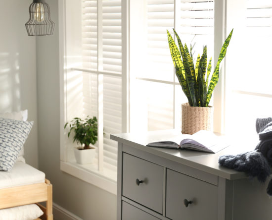 Grey chest of drawers with houseplant, book and blanket near window in bedroom