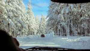 widok na ośnieżoną drogę